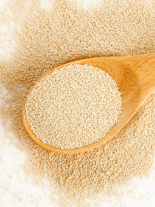 Yeast Extract