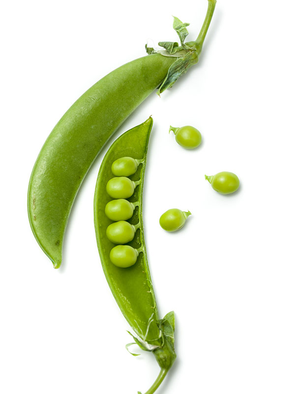 Pea Extract