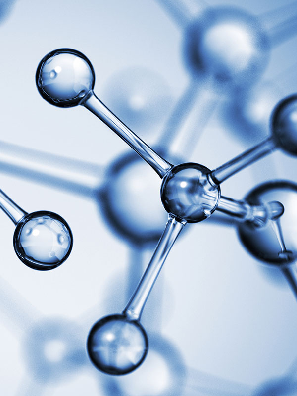 4x Hyaluronic Acids